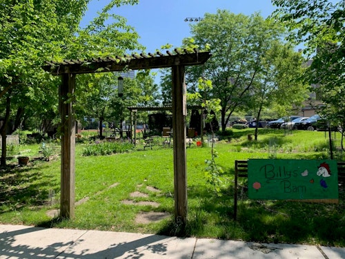 This image shows the community garden north of Kenwood Academy