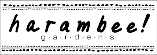 harambee logo