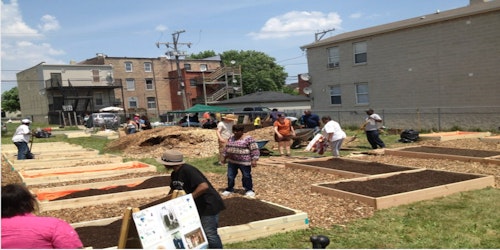 people standing in a garden with open plots of dirt