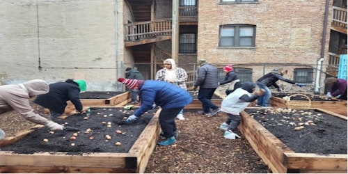 Volunteers are planting in the raised garden beds.