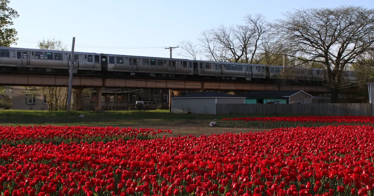 Redefining Redlining | MAPPED