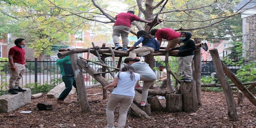Claremont Academy students  playing on tree branch structure outdoors
